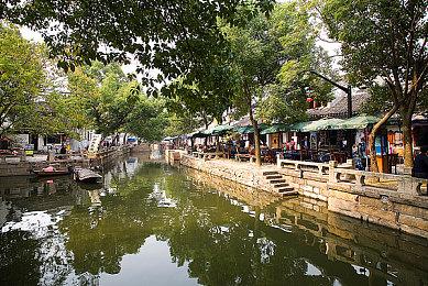 马斯克称赞《光环：无限》 微软：造个疣猪电动皮卡？